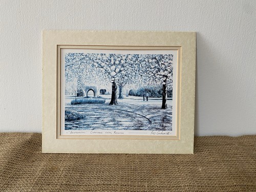 Ray canham blossom - ray,
